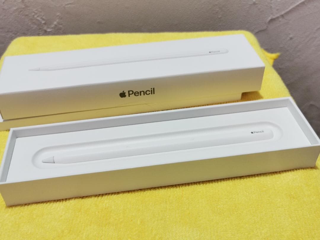 第三世代 iPad Pro 11インチ(WiFi 256GB)+純正Pencil