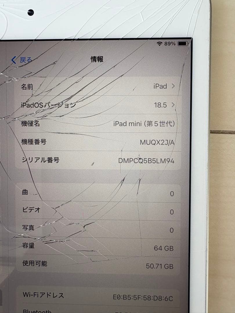 Apple iPad mini 第5世代wifi 64GB ジャンク品