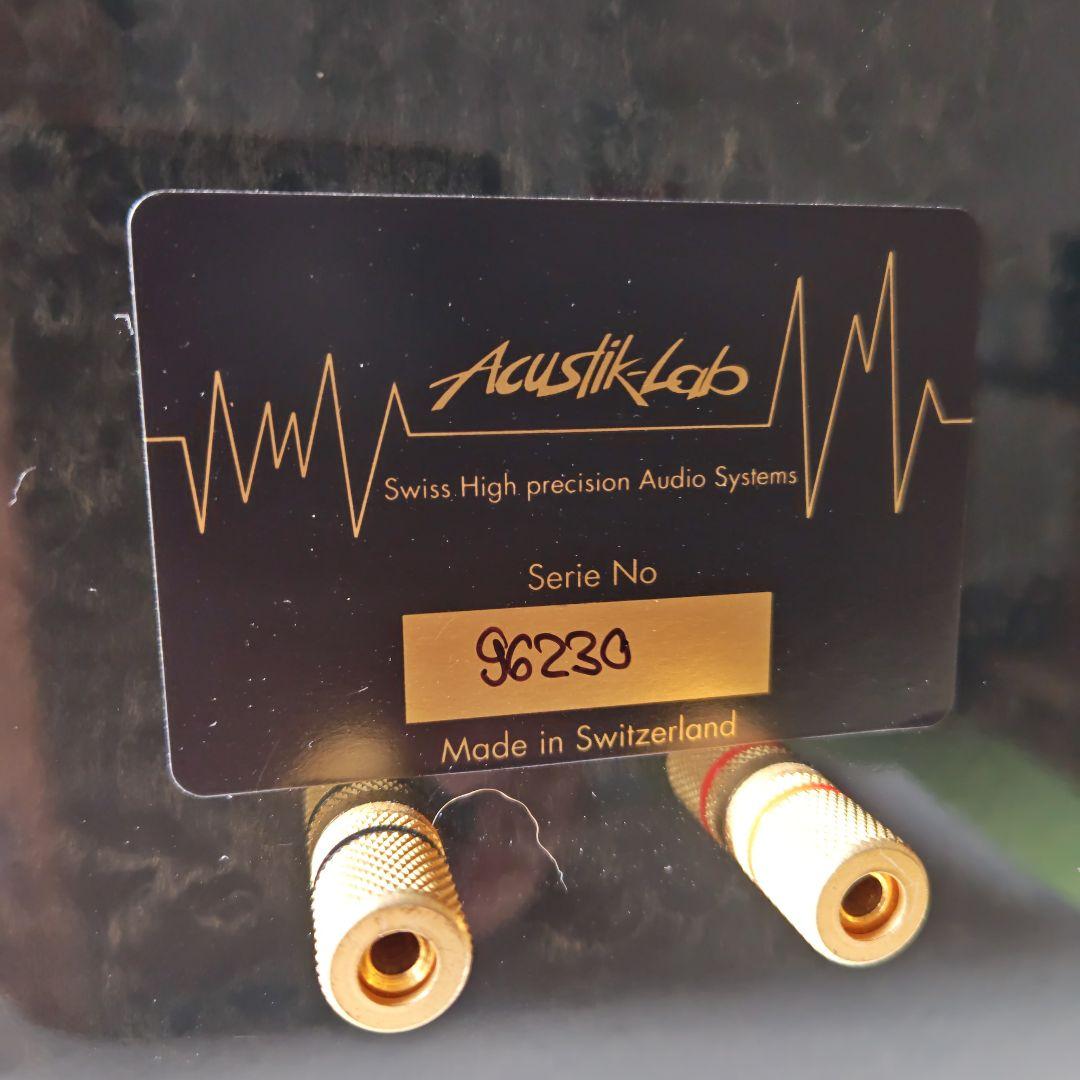 ACUSTIK-LAB BOLERO 希少グラファイト色　ジャンク