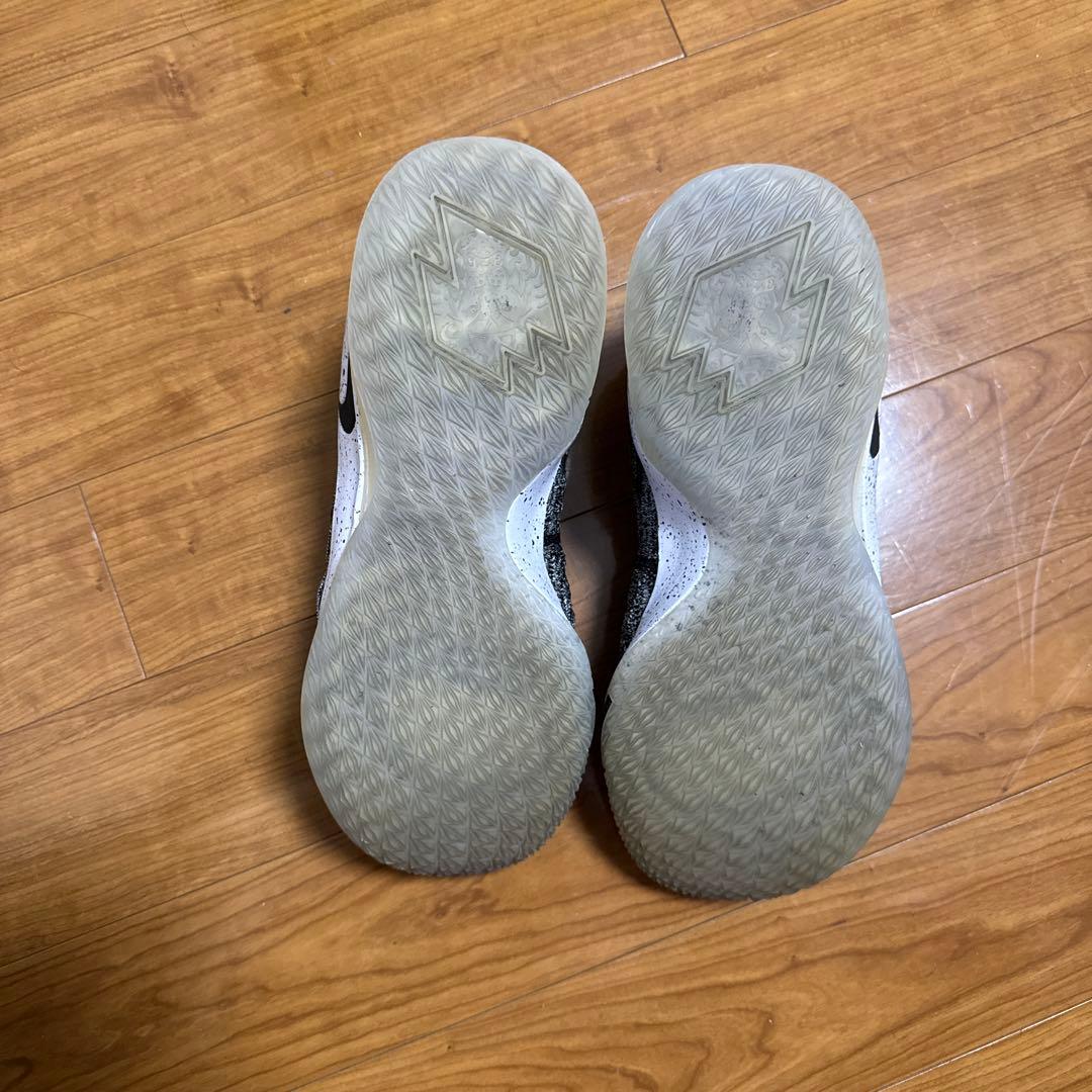 [新品未使用] Nike Lebron XV 15 Low Ashes