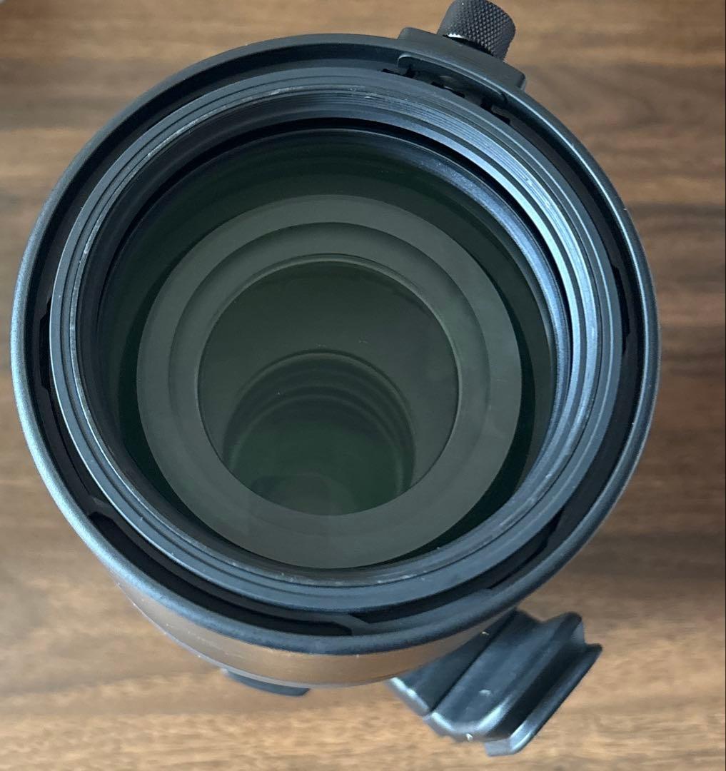 shinさん専用SIGMA 150-600mm F5-6.3 DG DN OS