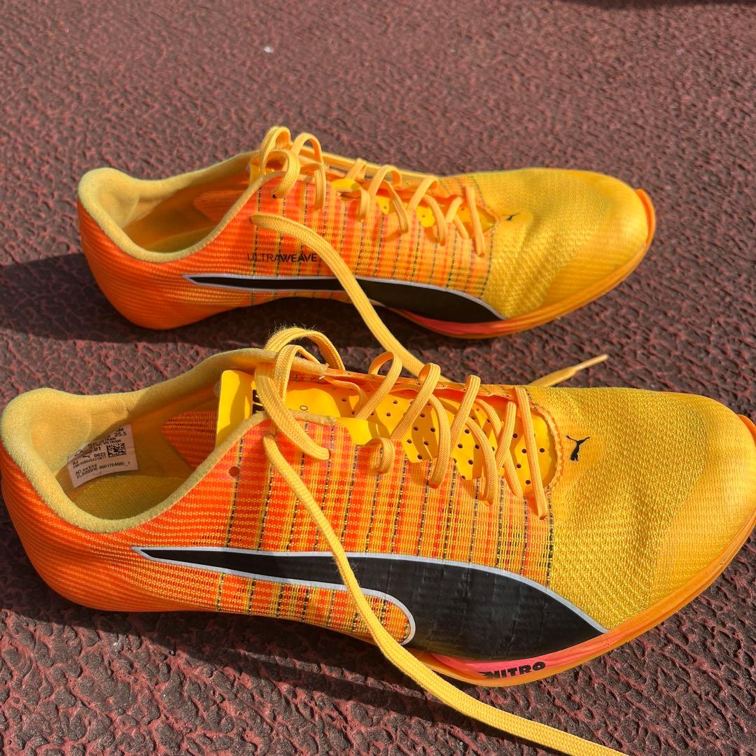 【やくと】PUMA evospeed Tokyo Nitro 25.5cm