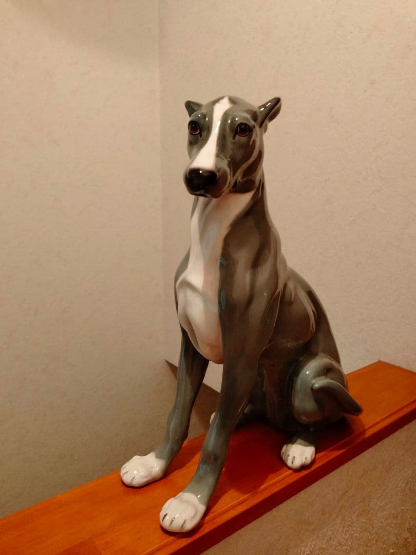 超大型 イタリア グレイハウンド リヤドロ