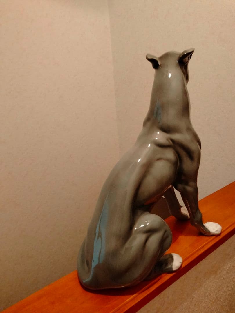 超大型 イタリア グレイハウンド リヤドロ