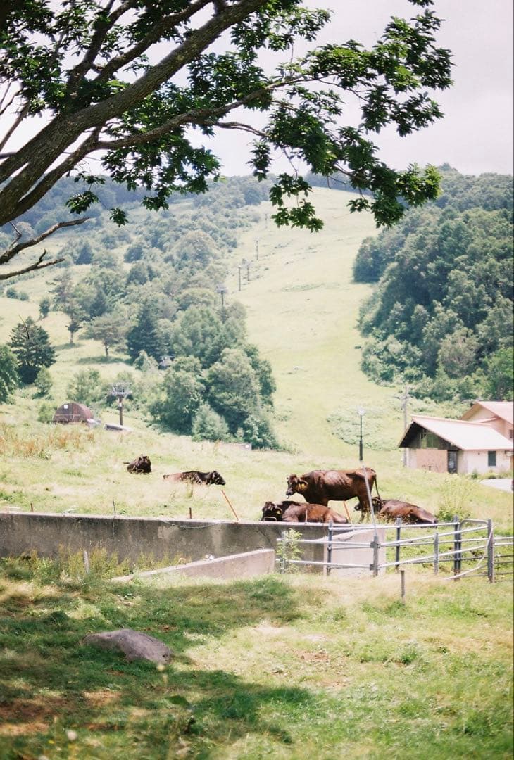 d*7様 美品 Nikon FM2T 一眼レフカメラ チタン