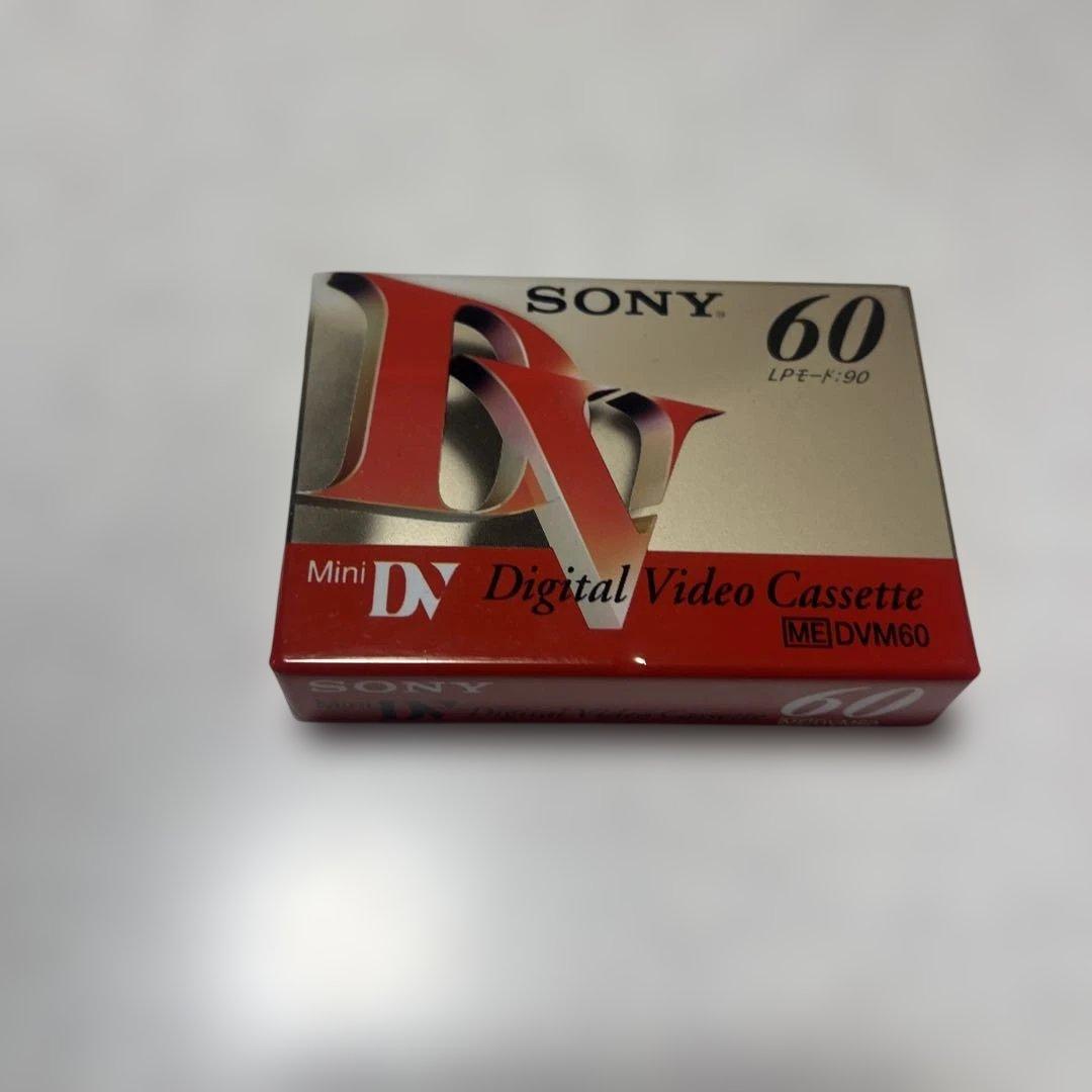 SONY miniDV HANDYCAM DCR-PC100 ⑥