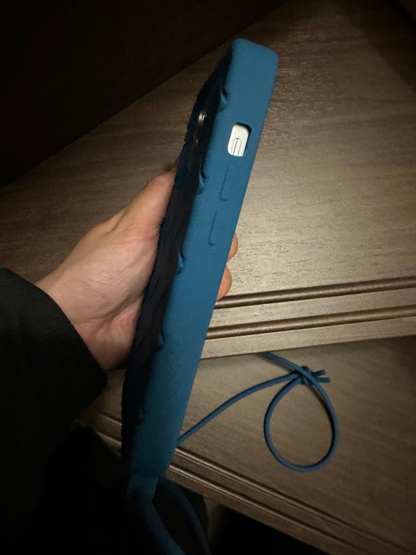 【新品】Bottega Veneta パラキートiPhone14pro