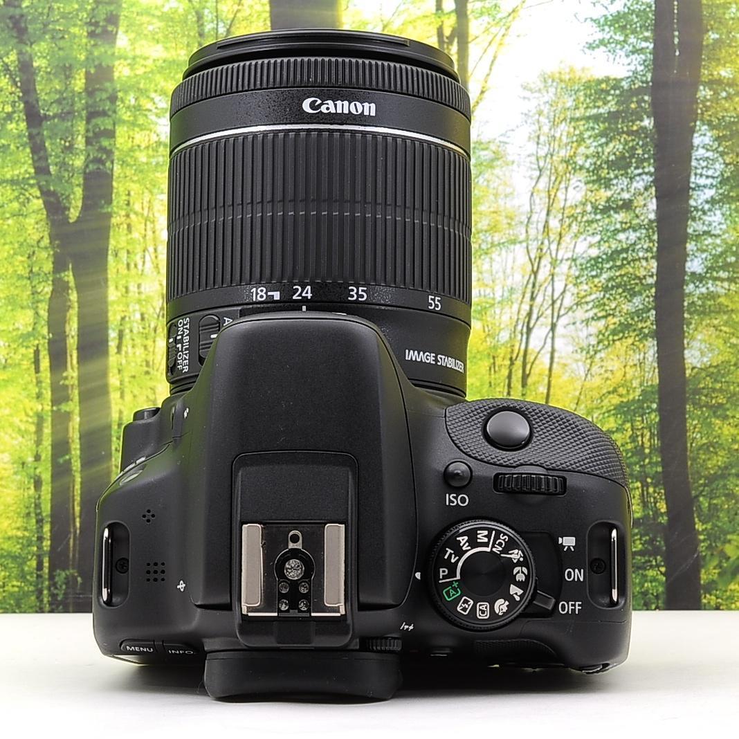 ショット数8474枚☆スマホ転送セット☆キャノン Kiss X７☆動画撮影も！