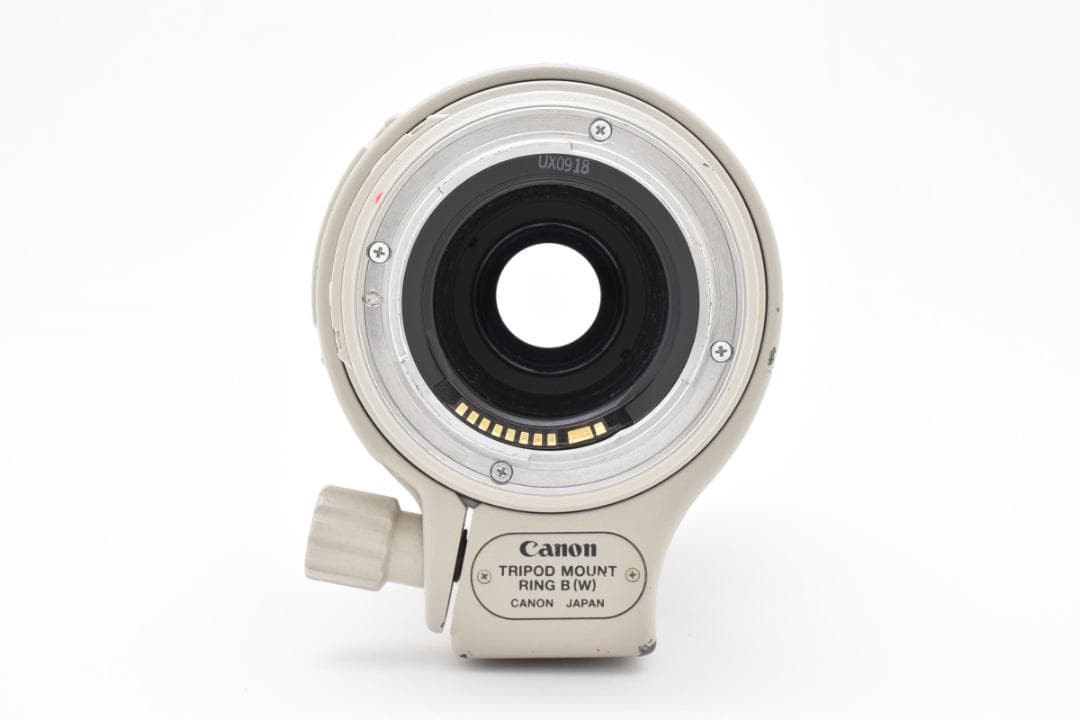 Canon ef 100 400 4.5 5.6 l is usm キャノン