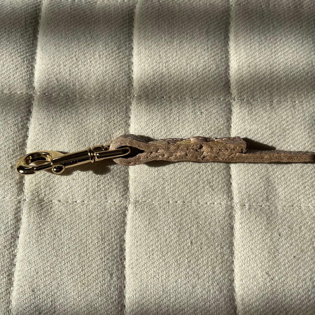 バディベルト3号 リード セット ラテ