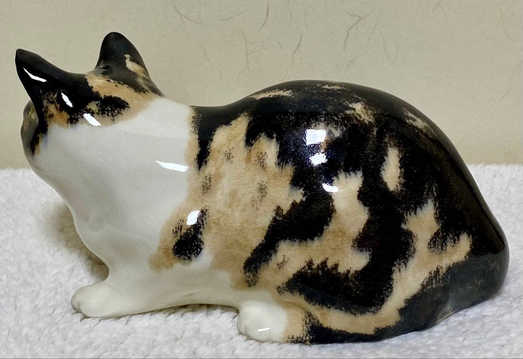 ウィンスタンレイキャット　ケンジントンキャット✨真緑の瞳✨激レア三毛猫✨サイズ5