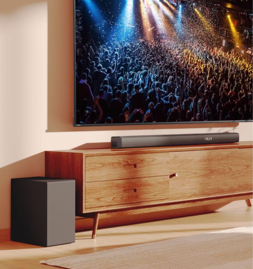 さっちんさん専用　REGZA TS3100Q レグザ　サウンドシステム