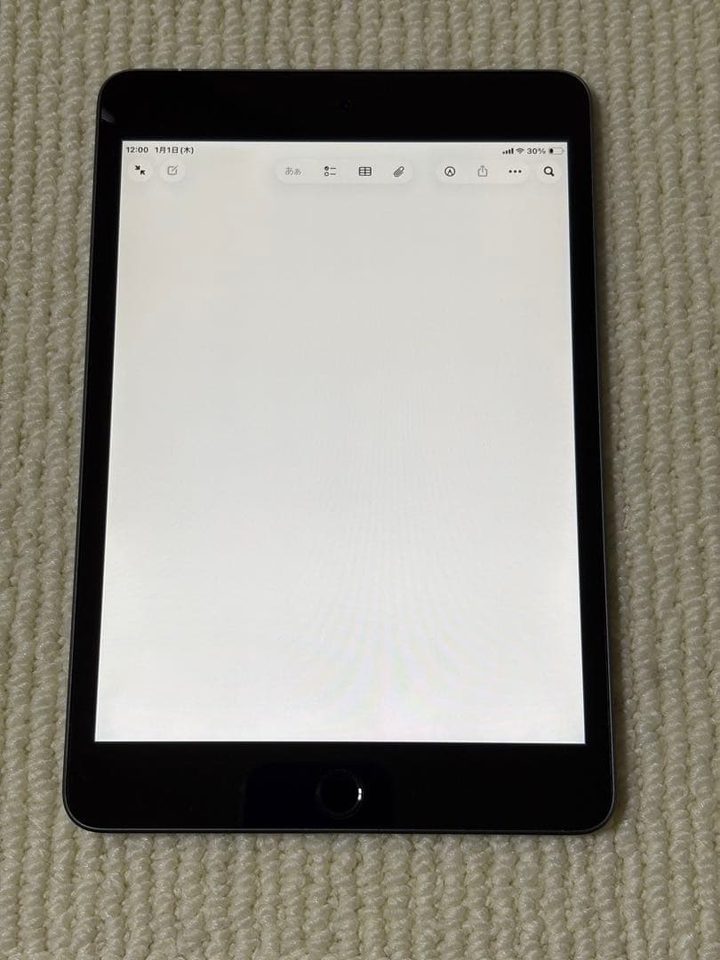 iPad mini5 256GB wifi+cellular スペースグレイ