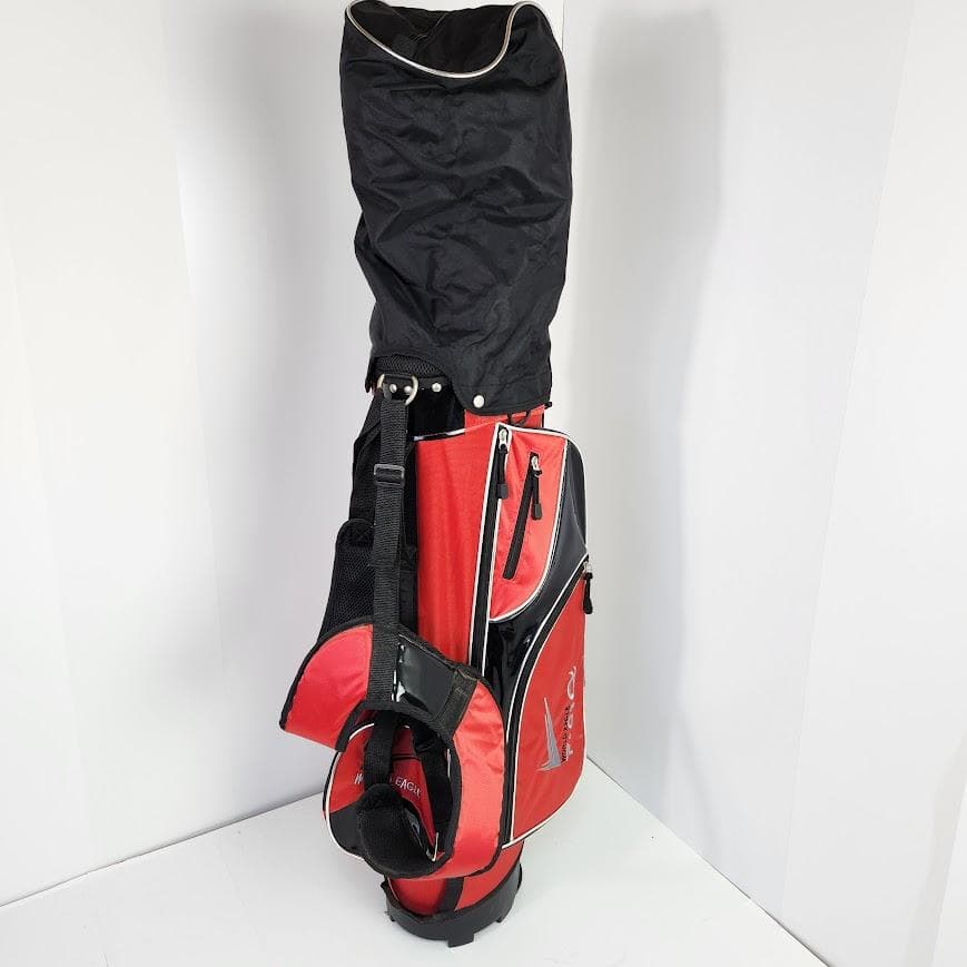 レフティ 左利き 初心者 ワールドイーグル F-01a メンズ ゴルフセット R