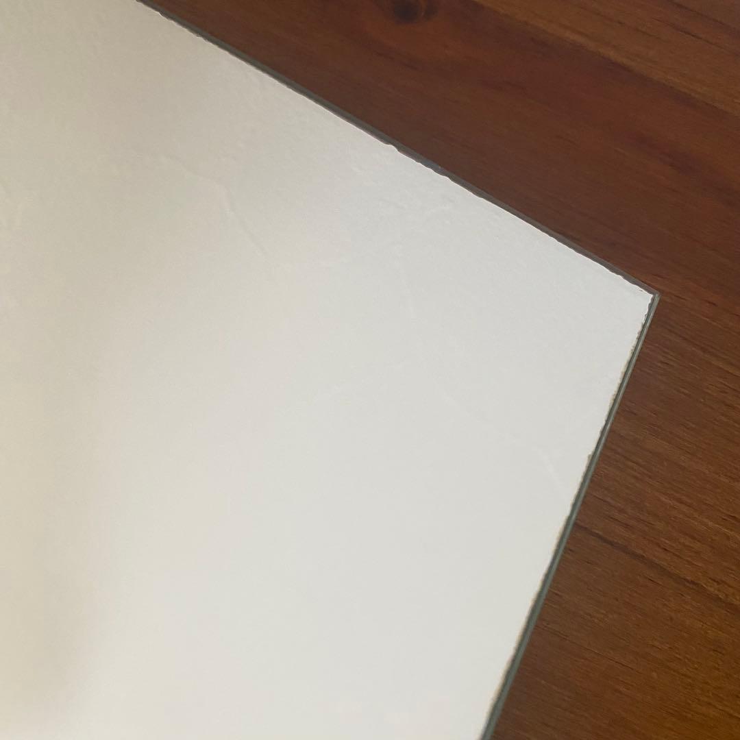 SWAROVSKI スワロフスキー クリスタル ワンダーオブザシー 置物