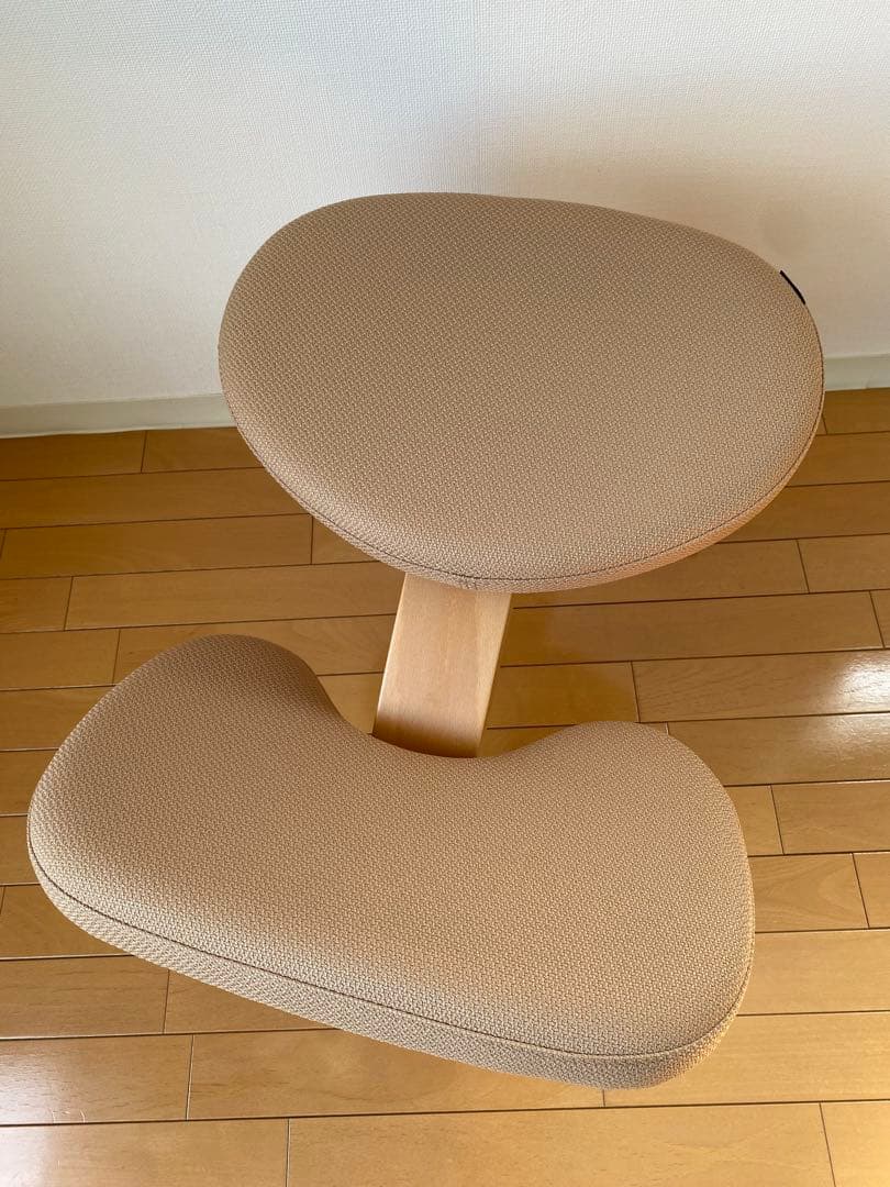 美品　純正黒カバー付き　バランスイージー　ショートフレーム