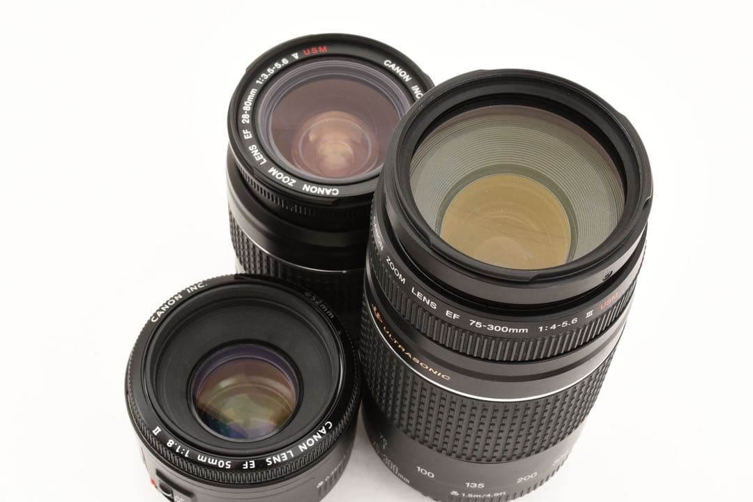 Canon EOS 5D Mark IV 標準&望遠&単焦点トリプルレンズセット