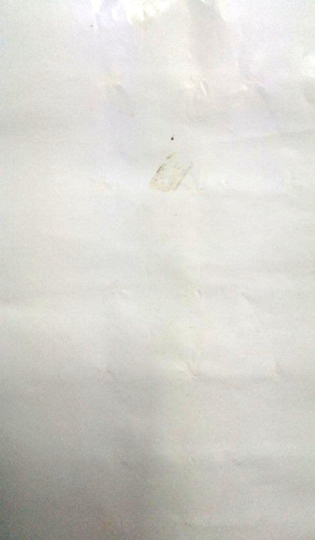 王家の紋章 大型ポスター２枚＋エジプト調の切り抜き２枚 ＋ おまけ付き