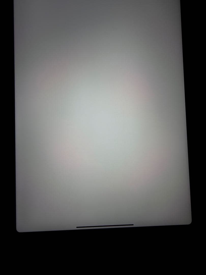 iPadpro 11インチ 第2世代 256G Wi-Fi+Cellular