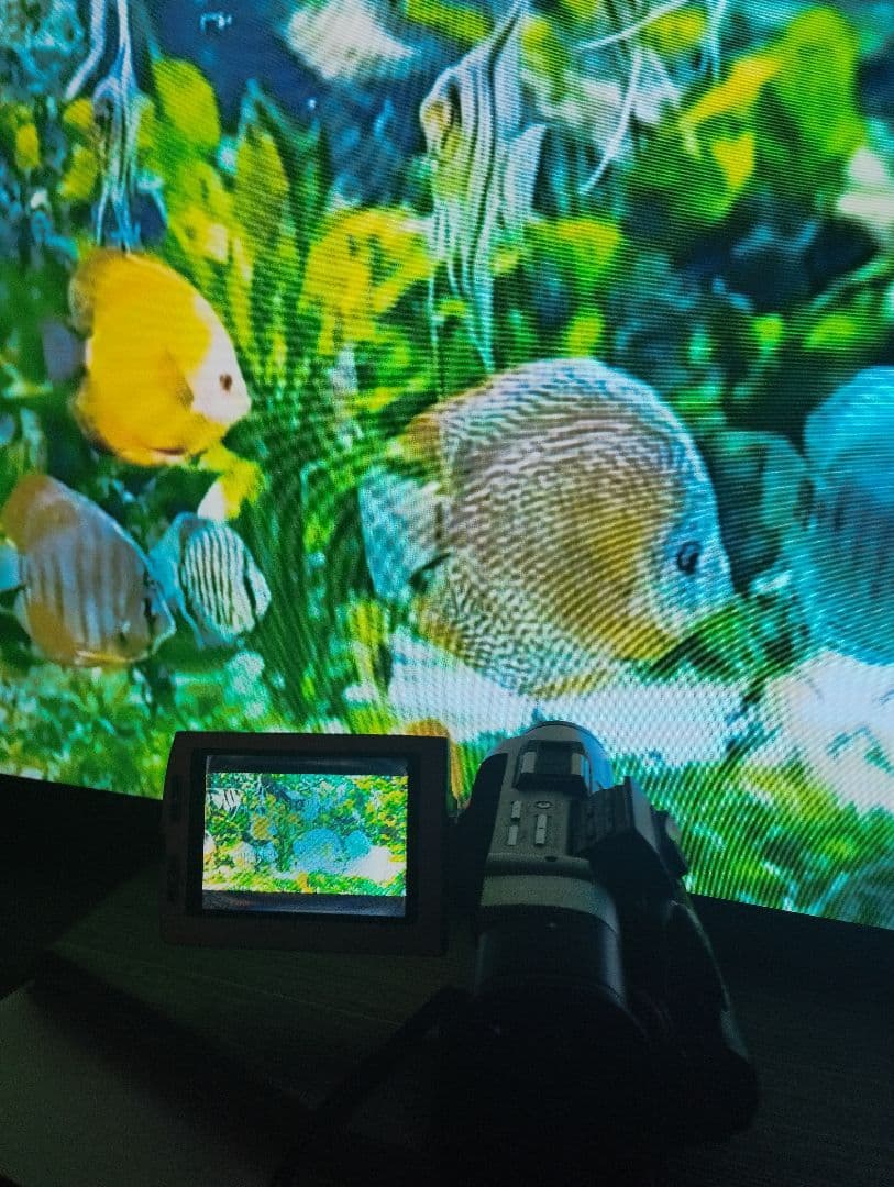 ソニー　安定動作 MiniDV ビデオカメラ DCR-TRV7 ミニdv