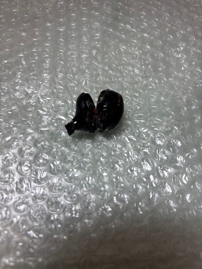 SONY WF-1000XM5 片耳なし