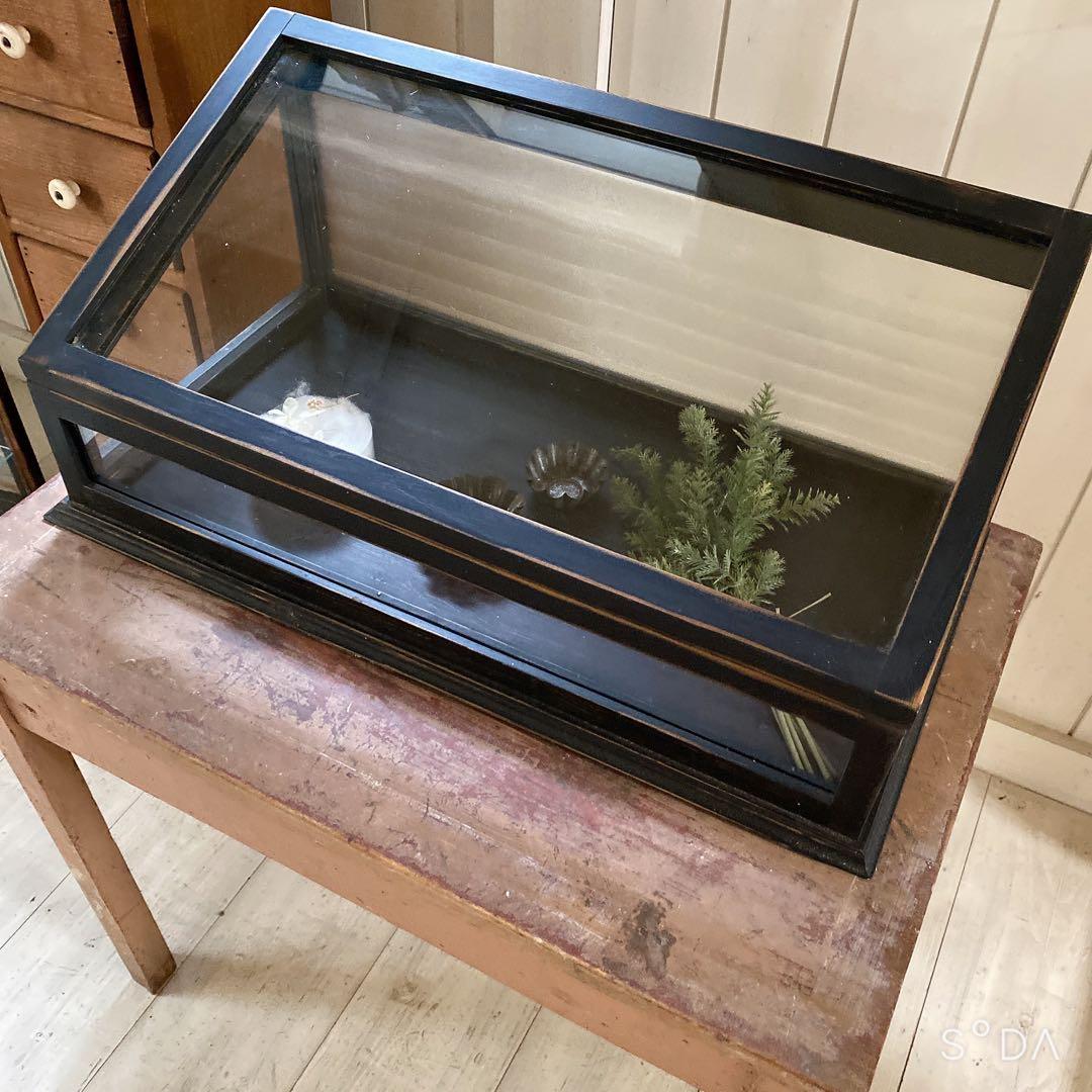 フランスアンティークガラスケース　アクセサリーケース　ディスプレイケース