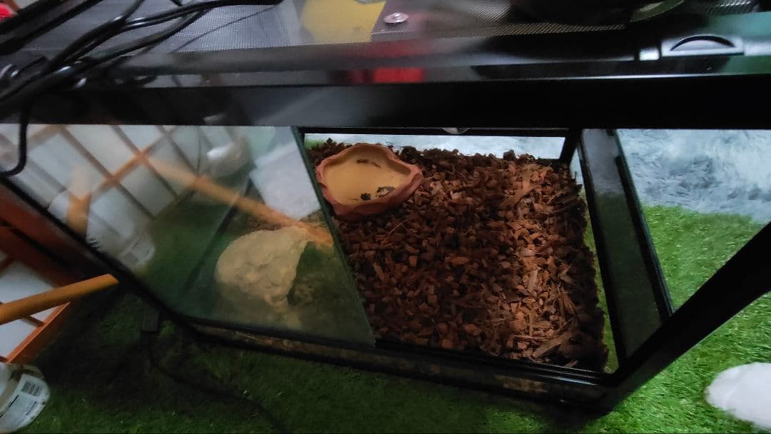 爬虫類飼育設備3点セット(飼育箱+LEDライト+保温球)