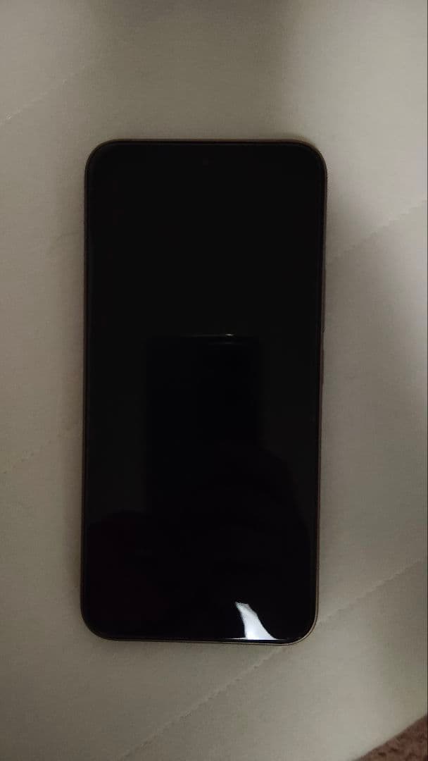 グローバル版Xiaomi 15T Pro 256GB