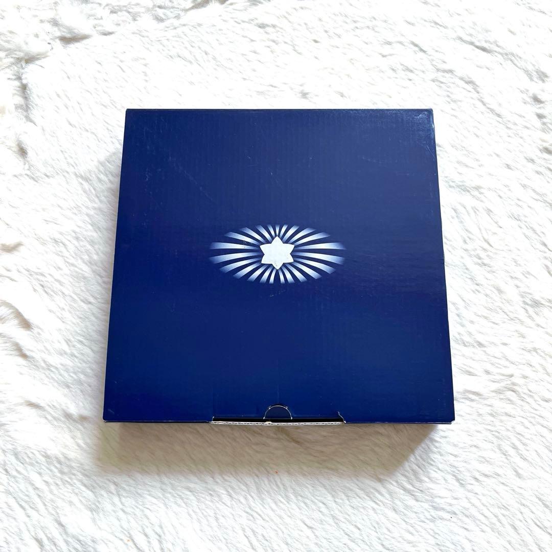 【新品】ロイヤルコペンハーゲン　クリスマスプレート　　イヤーズプレート　2006