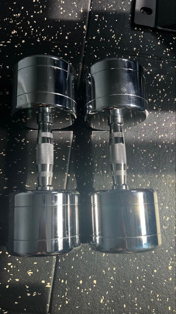 最終値下げ RITFIT ステンレスダンベル 14kg (2本)