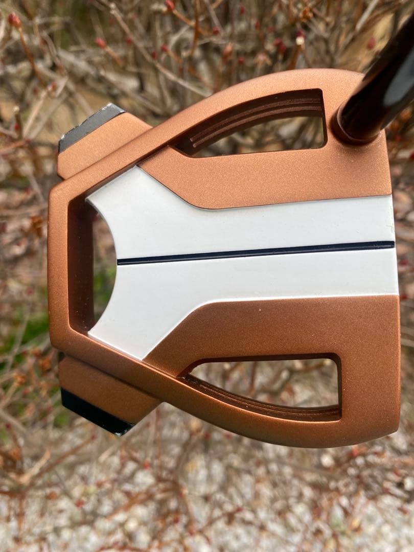 テーラーメイド　スパイダー X SX-72パター