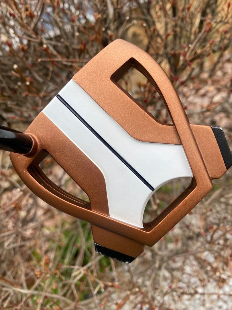 テーラーメイド　スパイダー X SX-72パター