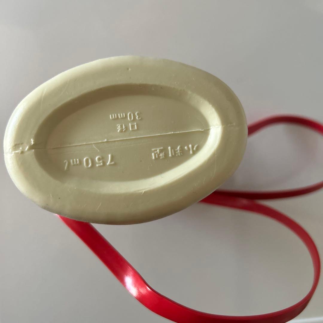 アニメキャラクター水筒 SB 750