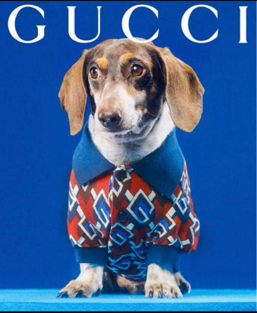 最終値下げ【新品未使品】GUCCI 犬服Sサイズ　タグ付き