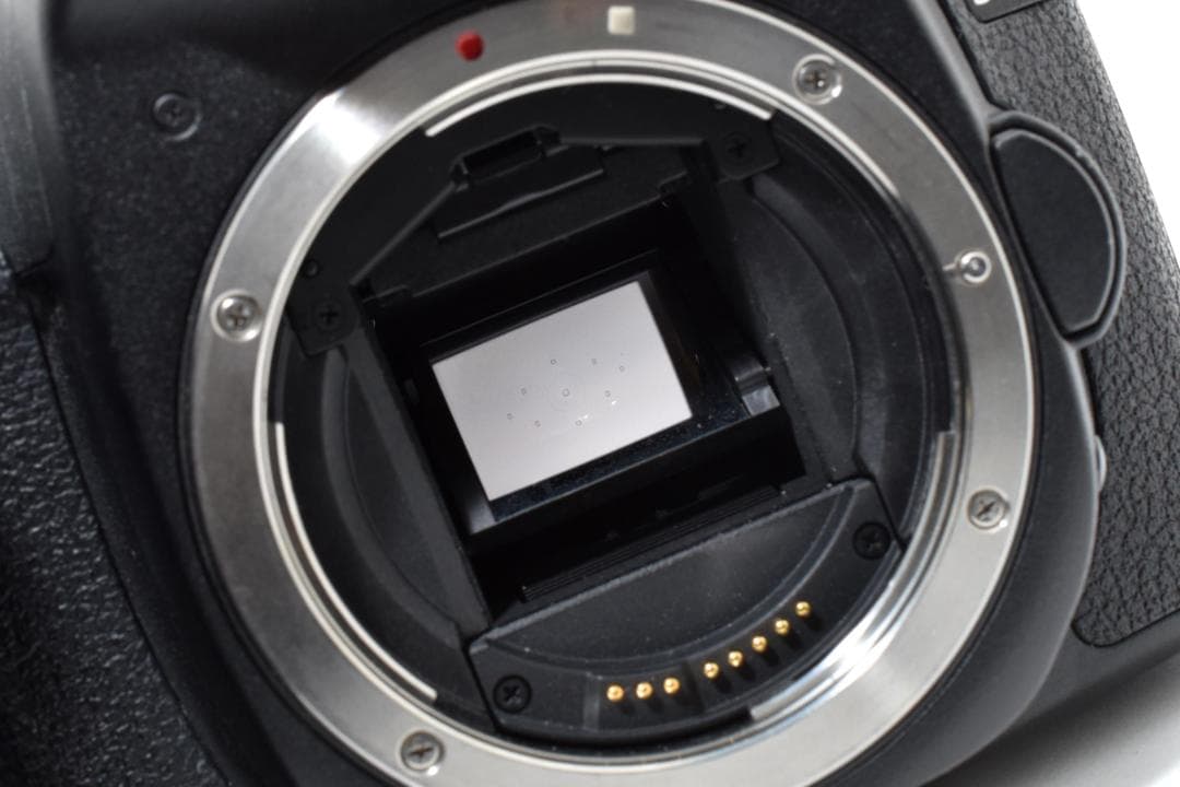 ■ 美品 ■ キャノン　 Canon EOS 50D 《S数3697枚》