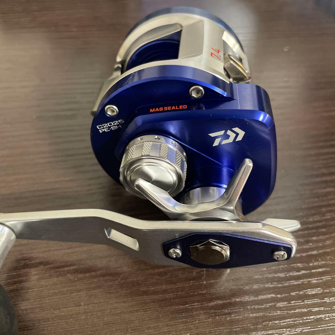 Daiwa《ダイワ》　14RYOGA ベイジギングC2025 PE-SH