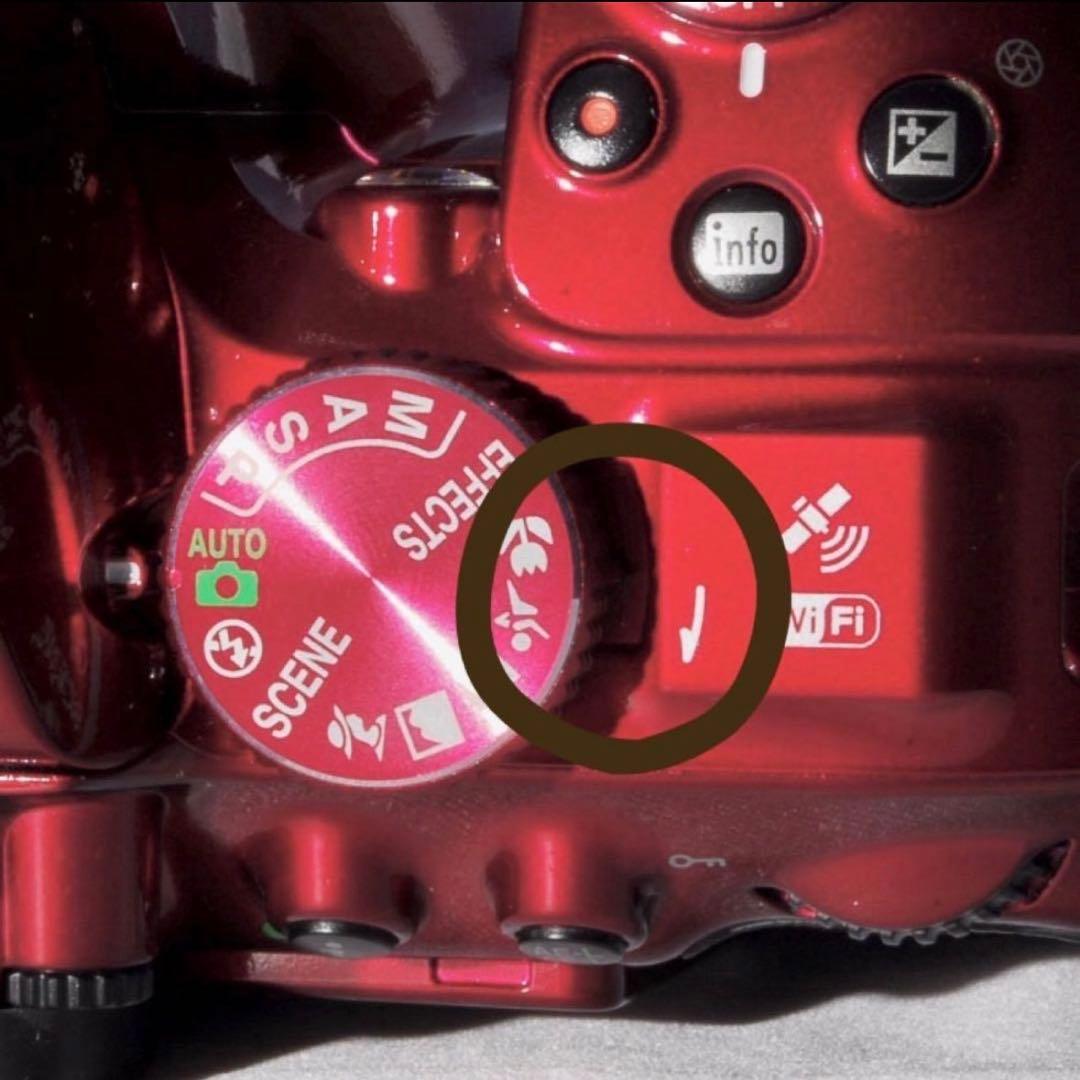 ✨Wi-Fi搭載モデル！レアカラー✨レッド✨D5300Ｗレンズキット✨