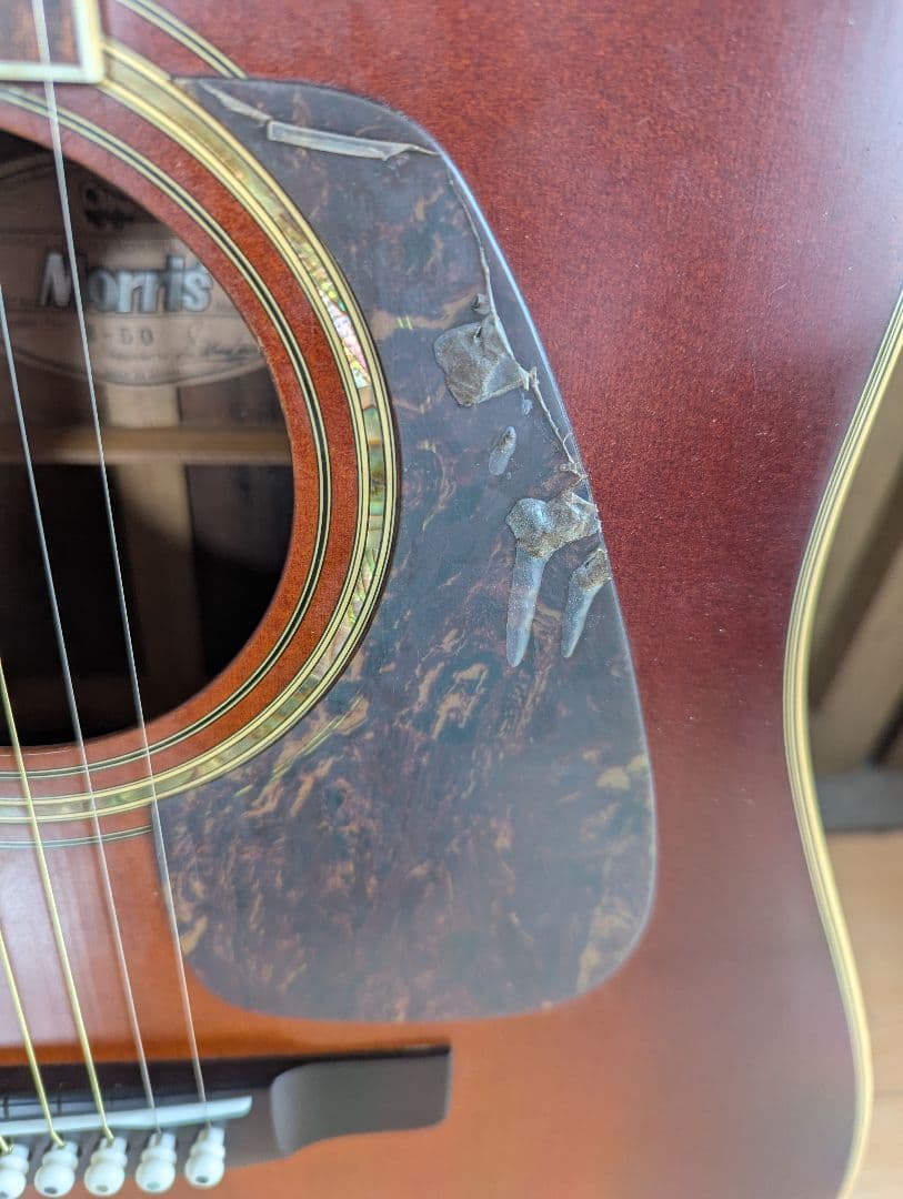 ♪Morris M-50 VSハカランダ・トップ単板♪