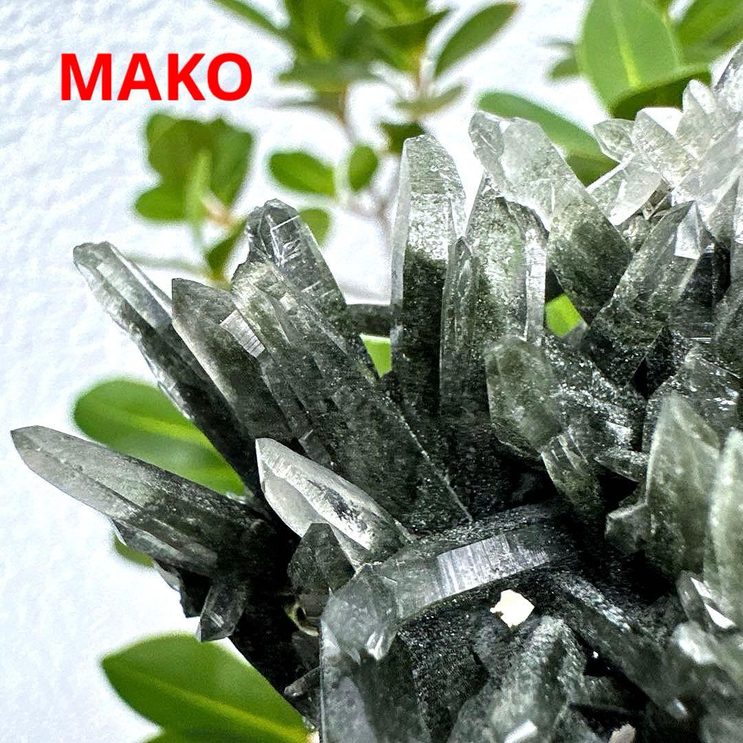 M1815☆ヒマラヤ水晶クラスター316g☆ガネッシュヒマール☆N5087-D