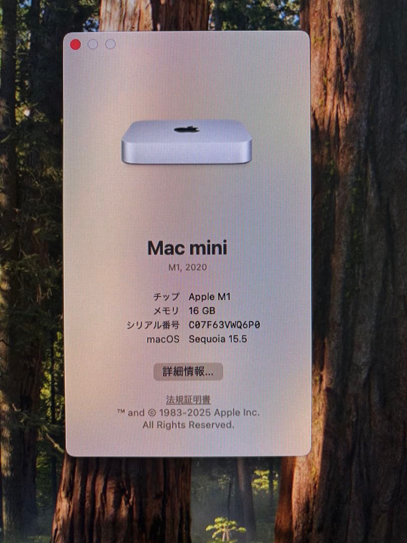 ミニPC Apple Mac mini (M1, 2020) 16GB 512gb