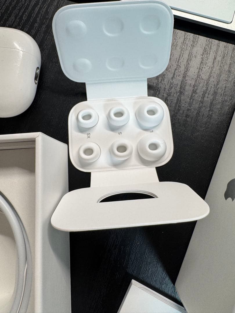 [動作確認済み]Apple AirPods Pro第二世代Lighting