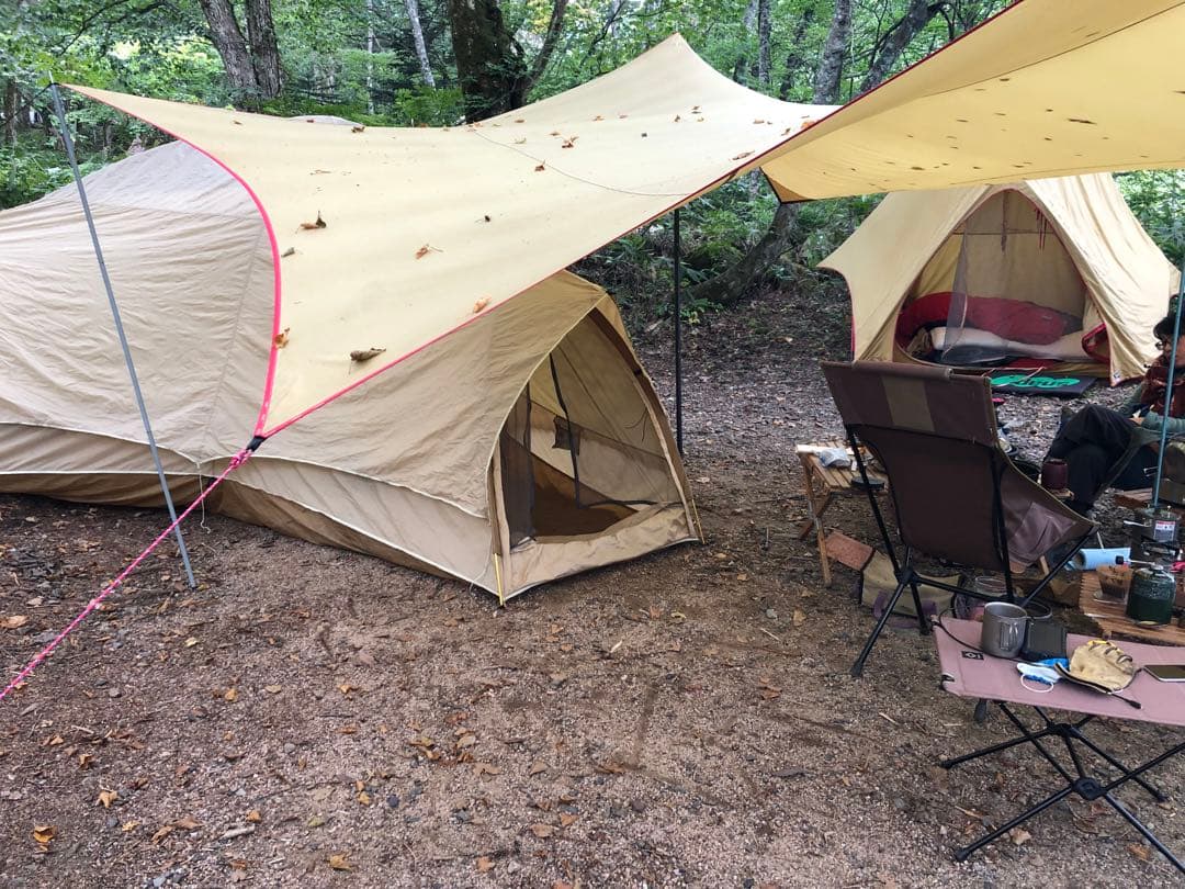 稀少美品⭐︎ Moss・Outfitter Wing（カムデン）