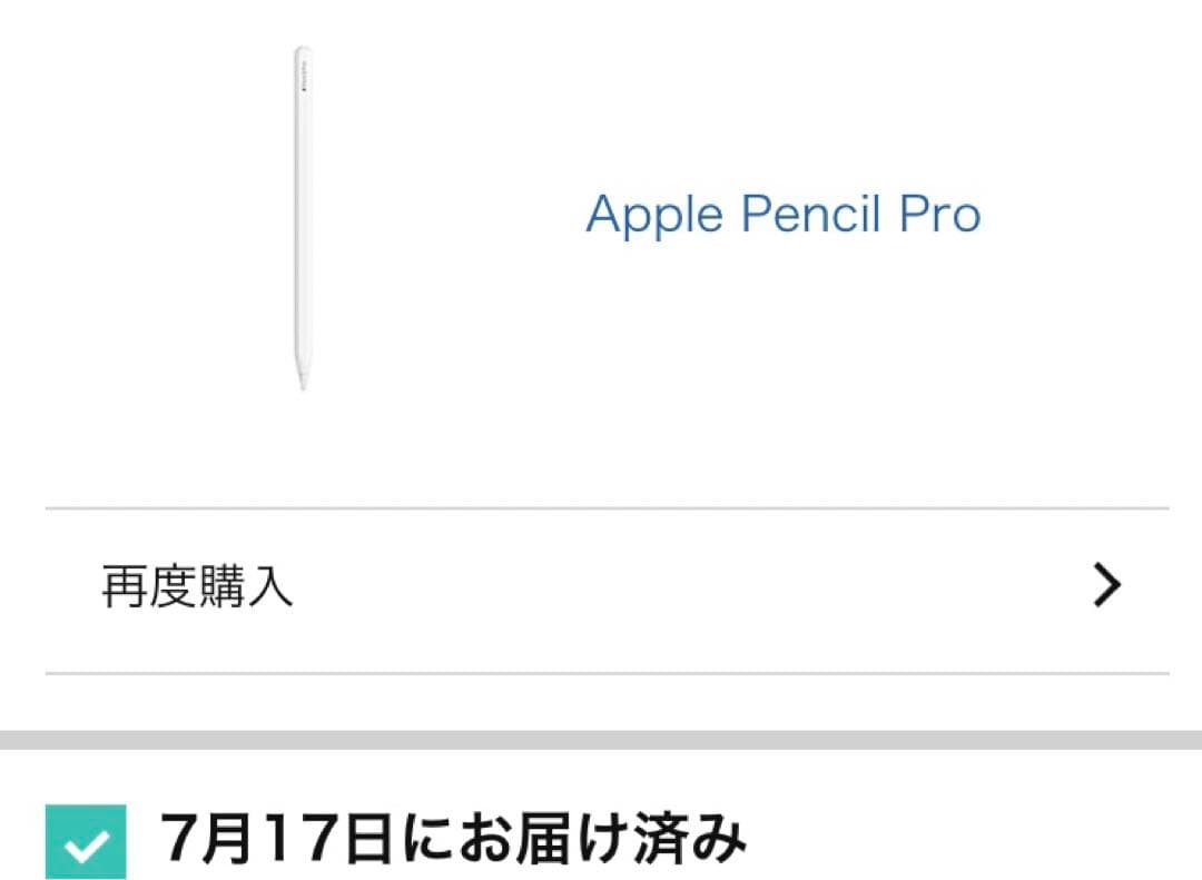 Apple pencil Pro 純正品