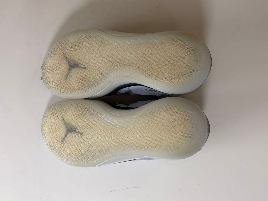 シューズ(男性用) NIKE Air Jordan 39 University 27cm