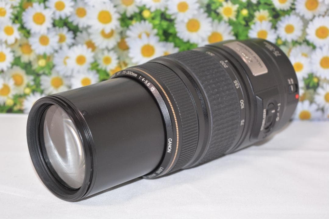 Canon EF 75-300mm IS USM❤フルサイズでも使える！❤超望遠