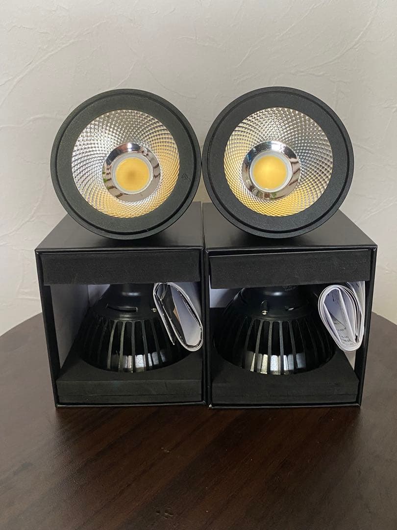 超激レア AMATERASLED 10W LEDライト 4個セット 超お買い得