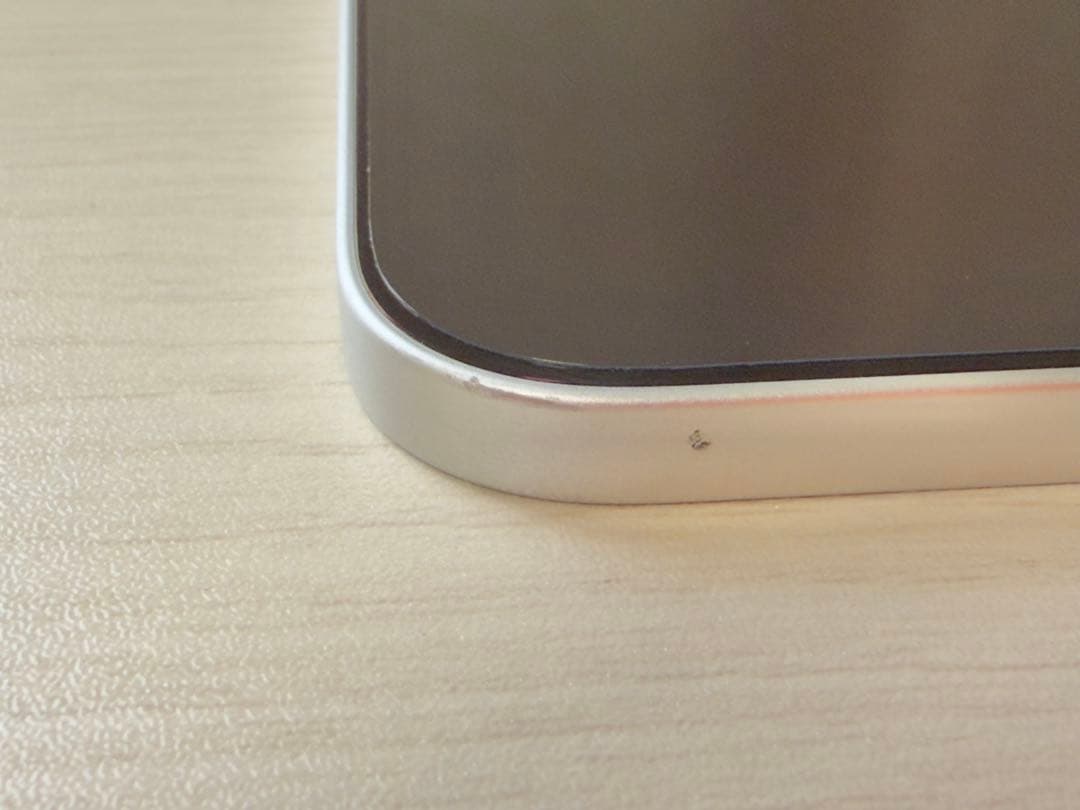 11インチ iPad Pro (第4世代) 256GB Wi-Fi シルバー