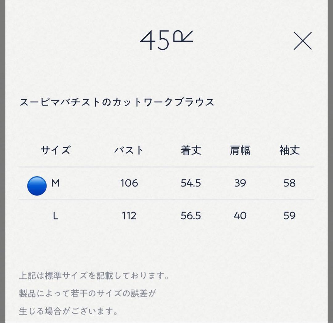 本日限定お値下げ　2025新品45R スーピマバチストのカットワークブラウス　白