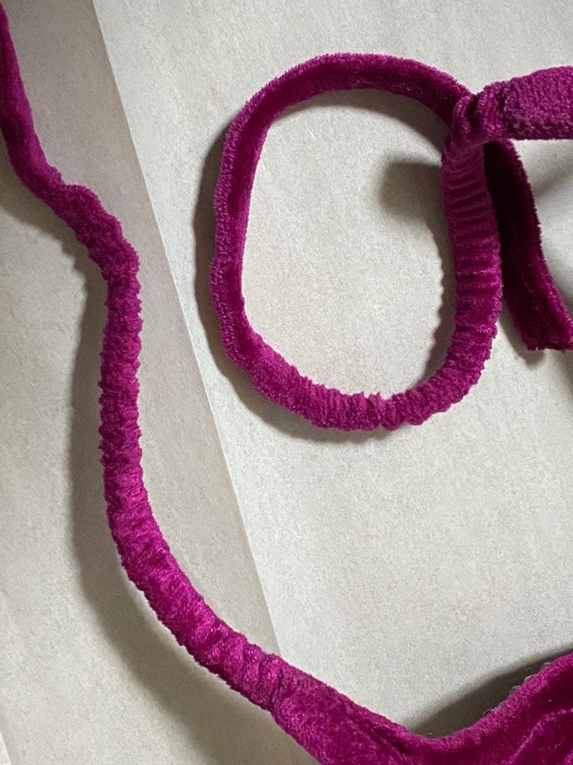 コンテストビキニ　JBBF