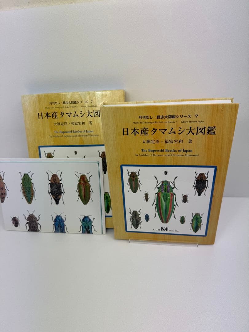 【むし社】日本産タマムシ大図鑑